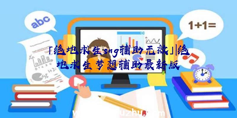 「绝地求生sng辅助无效」|绝地求生梦想辅助最新版